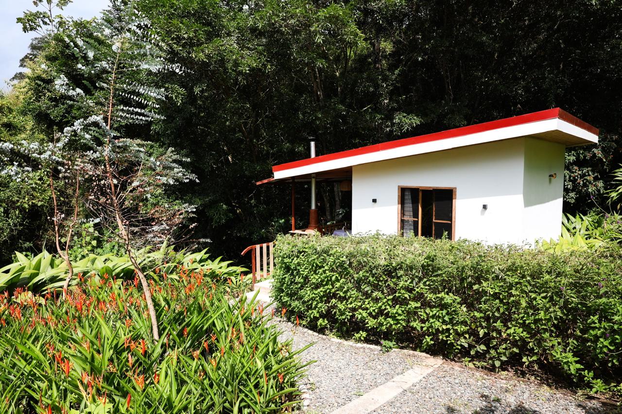 Suite las Avecillas